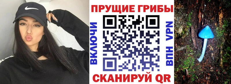 Галлюциногенные грибы ЛСД  Каргат 